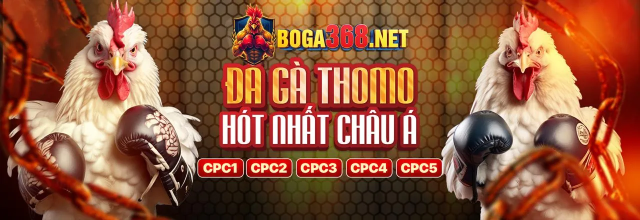 Hình ảnh đá gà trực tuyến kịch tính tại MB33